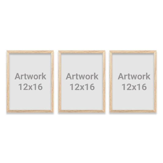 3 Rect - 12x16 - WITH BOX